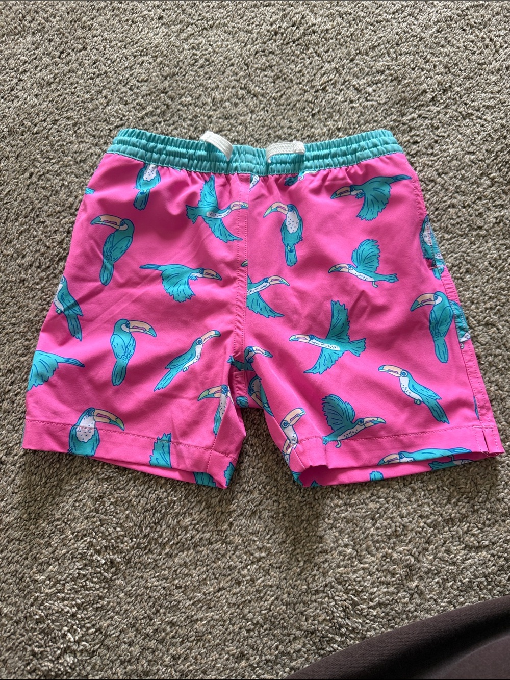 chubbies Pink Swim Shorts with Teal Toucan Print